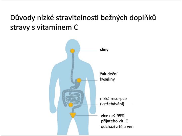 Stravitelnost_2